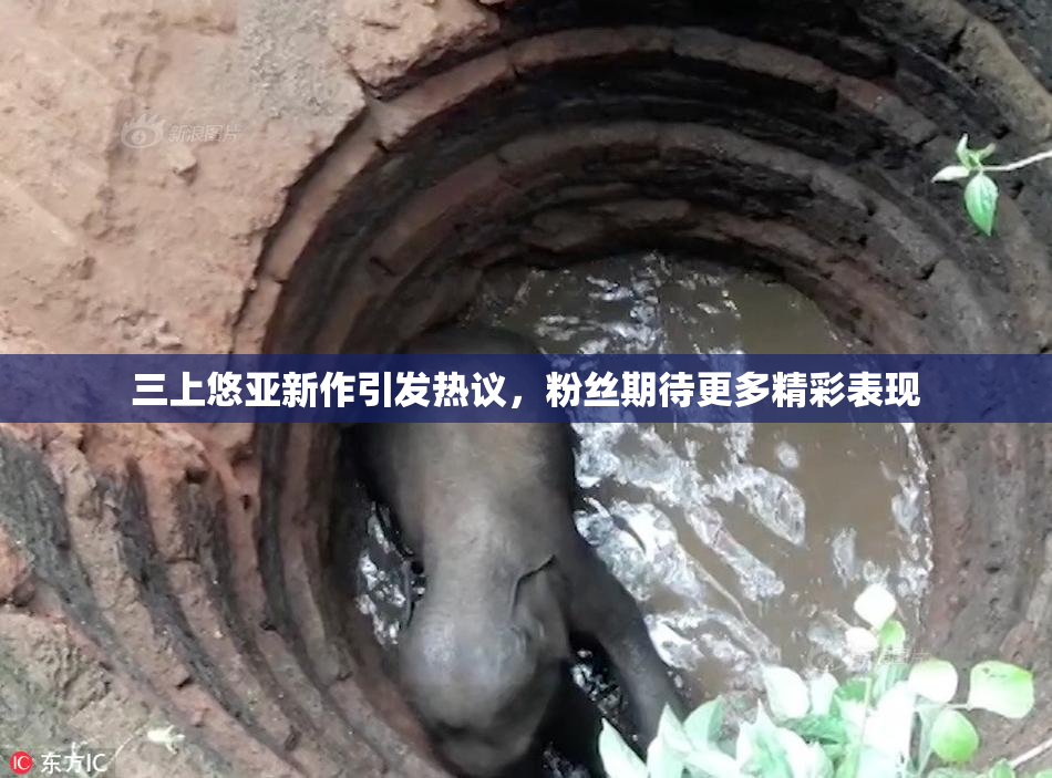 三上悠亚新作引发热议，粉丝期待更多精彩表现