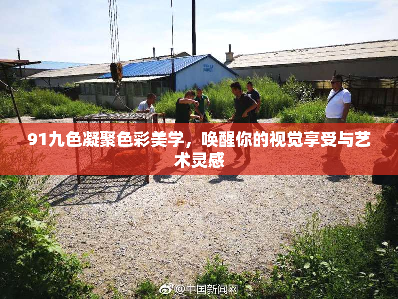 91九色凝聚色彩美学，唤醒你的视觉享受与艺术灵感
