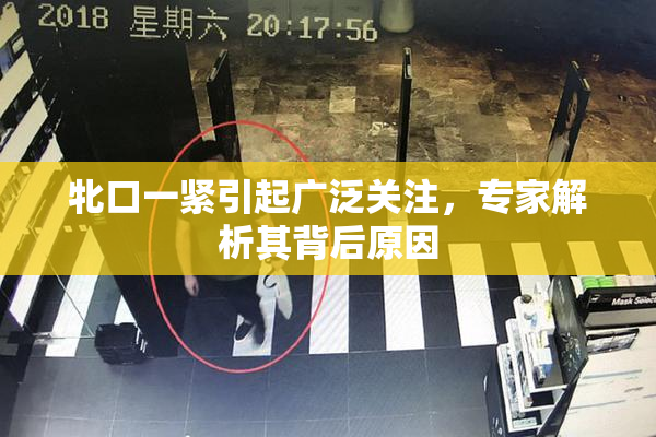 牝口一紧引起广泛关注，专家解析其背后原因