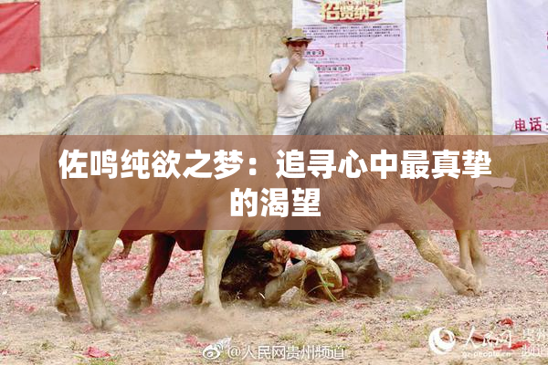 佐鸣纯欲之梦：追寻心中最真挚的渴望