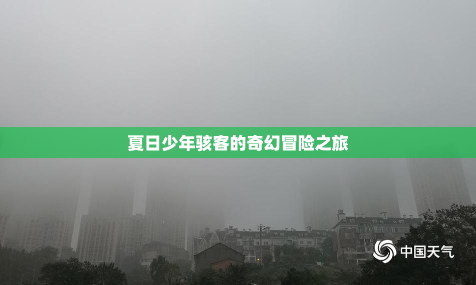 夏日少年骇客的奇幻冒险之旅