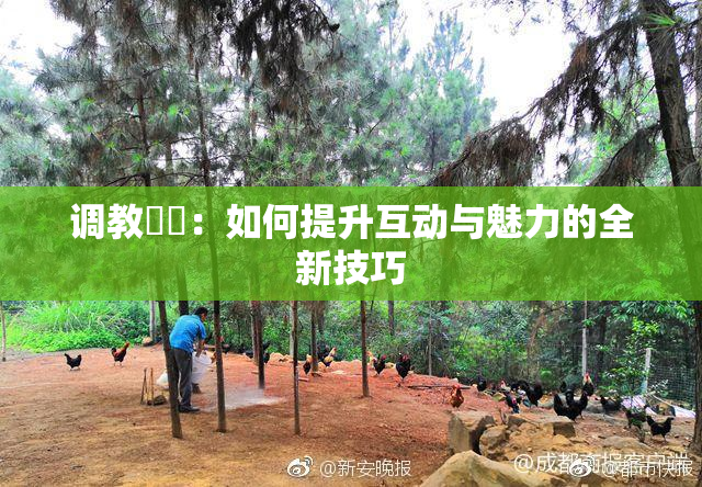 调教妺妺：如何提升互动与魅力的全新技巧