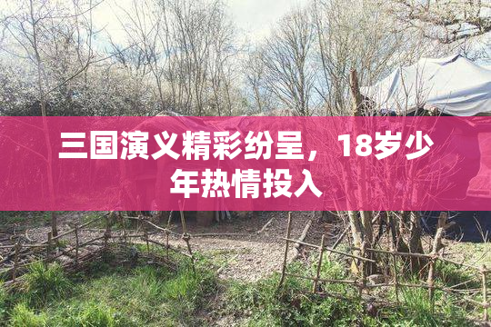 三国演义精彩纷呈，18岁少年热情投入