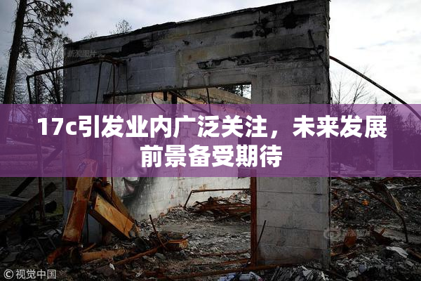 17c引发业内广泛关注，未来发展前景备受期待