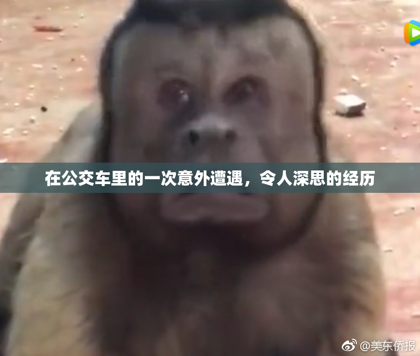 在公交车里的一次意外遭遇，令人深思的经历