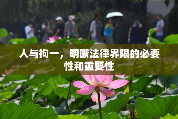 人与拘一，明晰法律界限的必要性和重要性