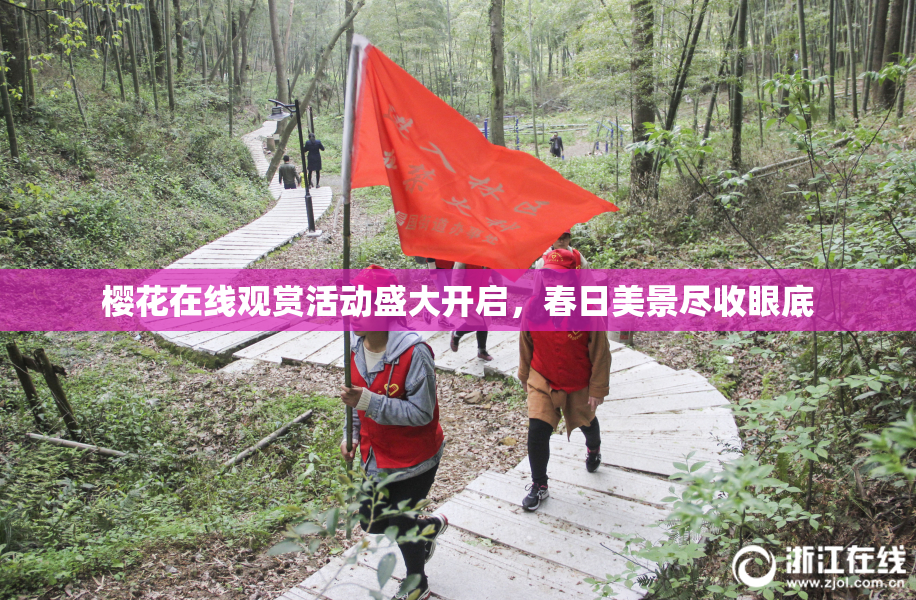 樱花在线观赏活动盛大开启，春日美景尽收眼底