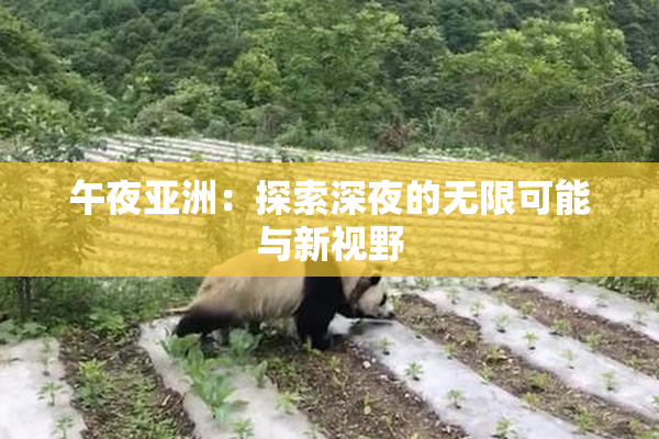 午夜亚洲：探索深夜的无限可能与新视野