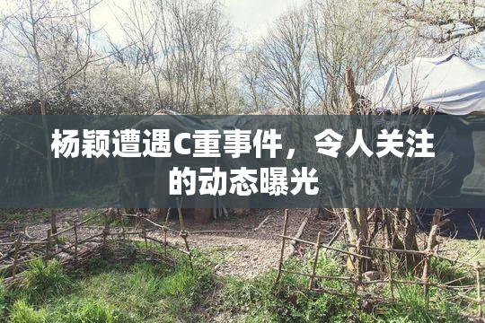 杨颖遭遇C重事件，令人关注的动态曝光