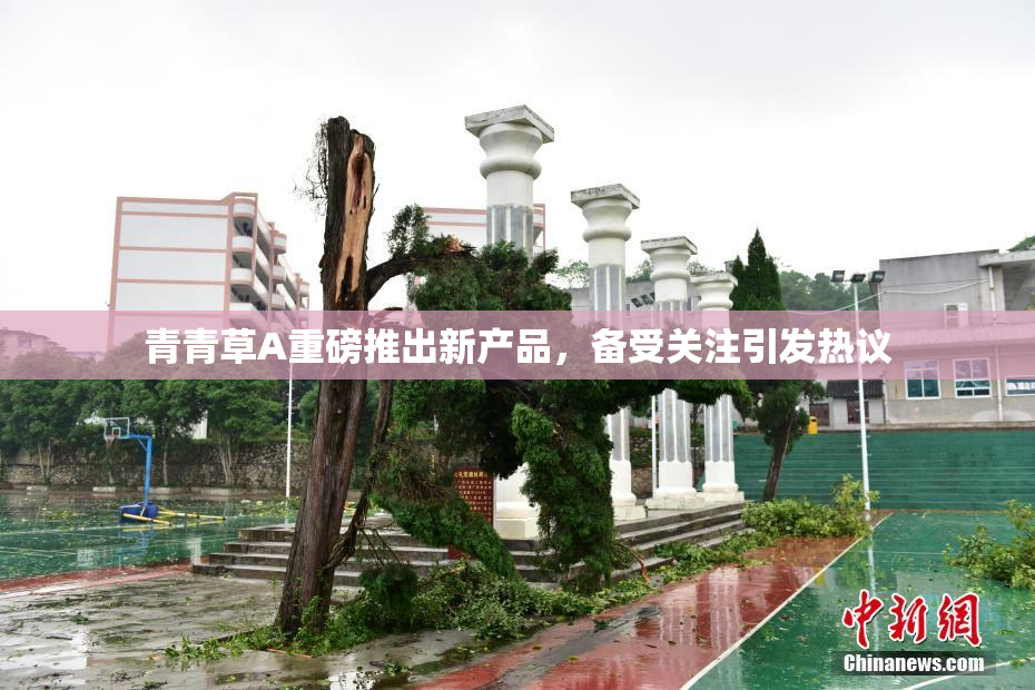 青青草A重磅推出新产品，备受关注引发热议