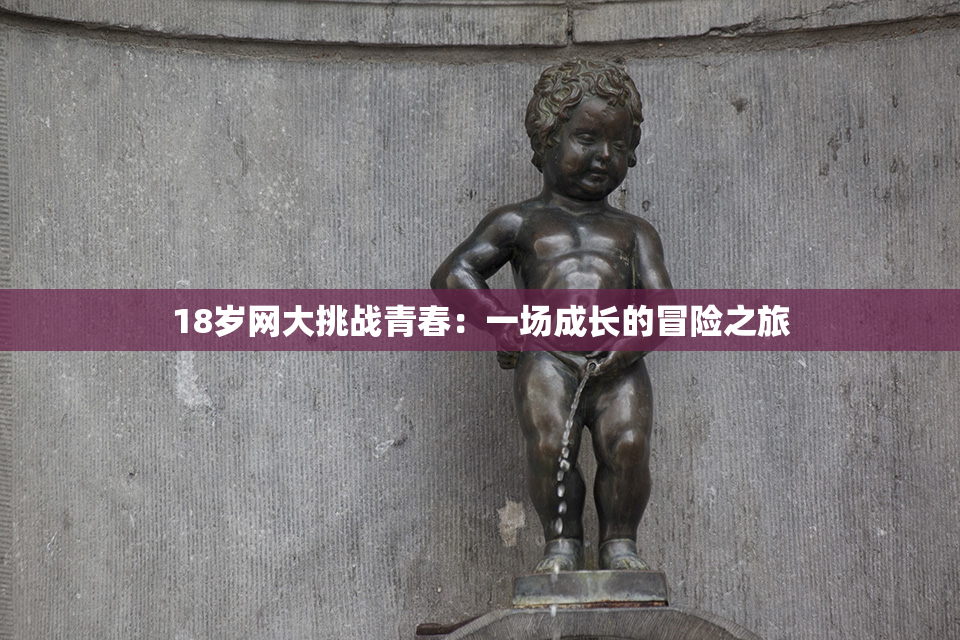 18岁网大挑战青春：一场成长的冒险之旅