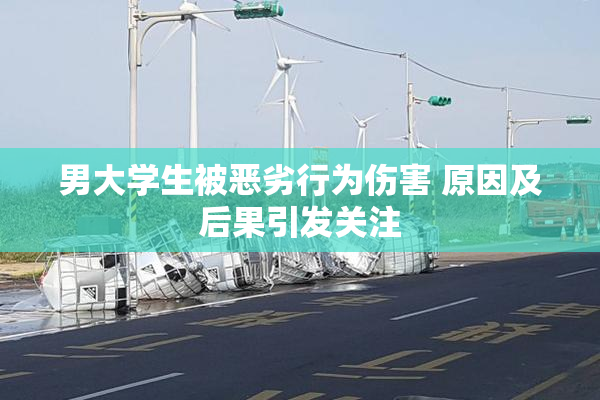 男大学生被恶劣行为伤害 原因及后果引发关注