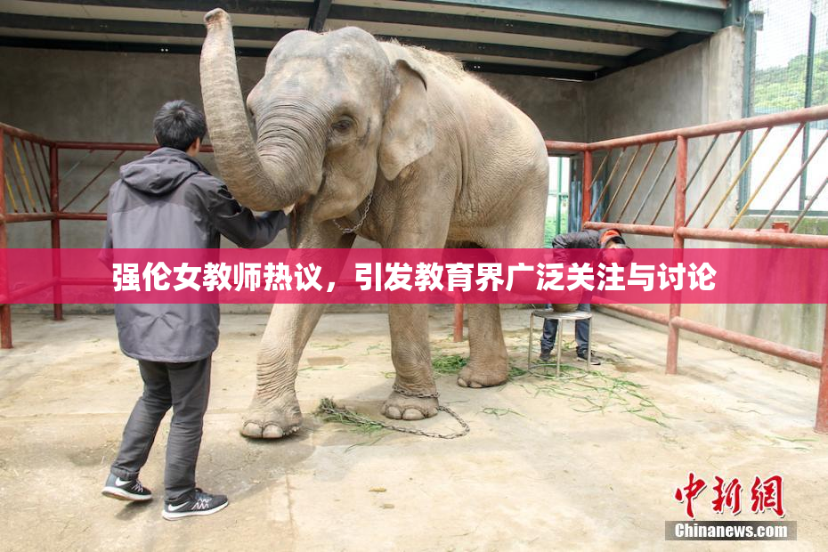 强伦女教师热议，引发教育界广泛关注与讨论