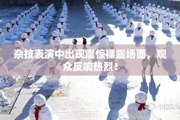 杂技表演中出现震惊裸露场面，观众反响热烈！