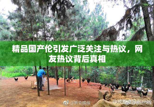 精品国产伦引发广泛关注与热议，网友热议背后真相