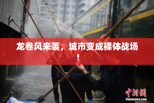 龙卷风来袭，城市变成裸体战场！