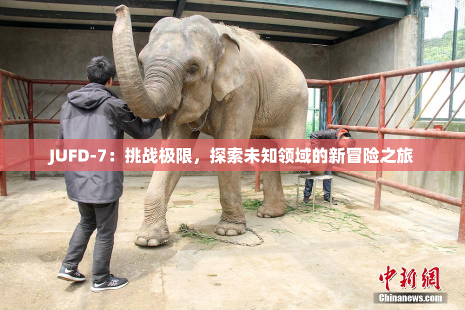 JUFD-7：挑战极限，探索未知领域的新冒险之旅