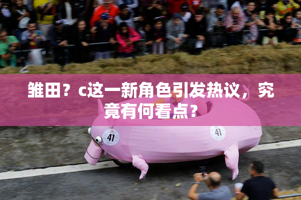 雏田？c这一新角色引发热议，究竟有何看点？
