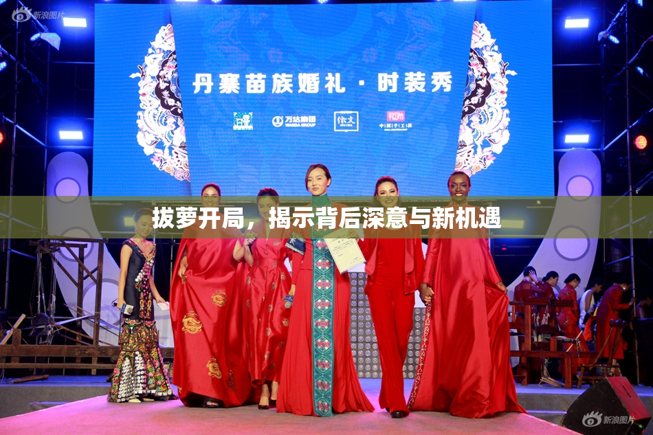 拔萝开局，揭示背后深意与新机遇