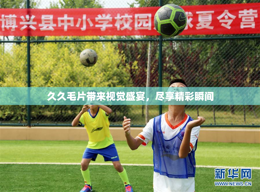久久毛片带来视觉盛宴，尽享精彩瞬间