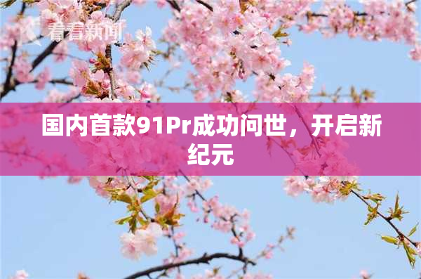 国内首款91Pr成功问世，开启新纪元