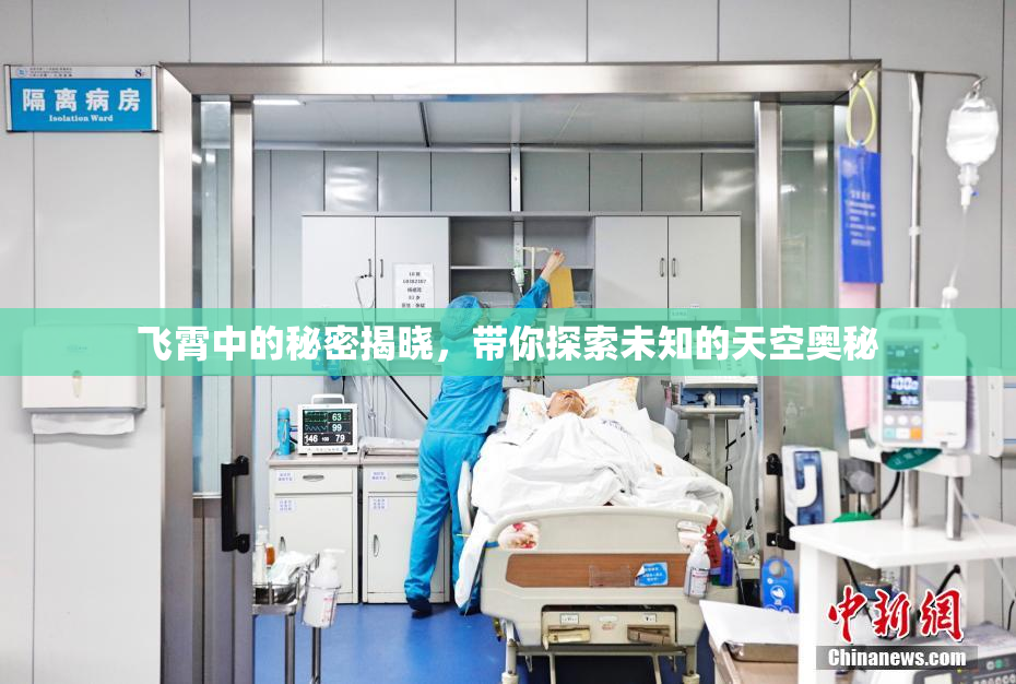 飞霄中的秘密揭晓，带你探索未知的天空奥秘