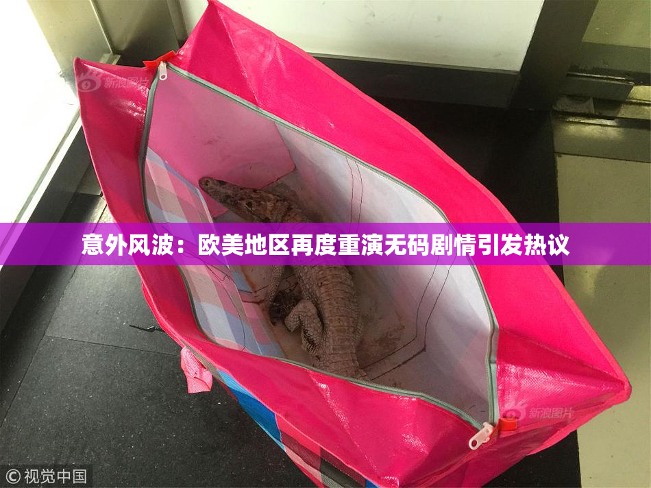 意外风波：欧美地区再度重演无码剧情引发热议