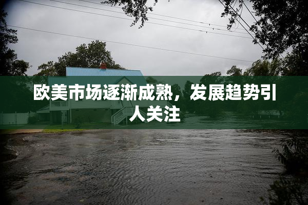 欧美市场逐渐成熟，发展趋势引人关注
