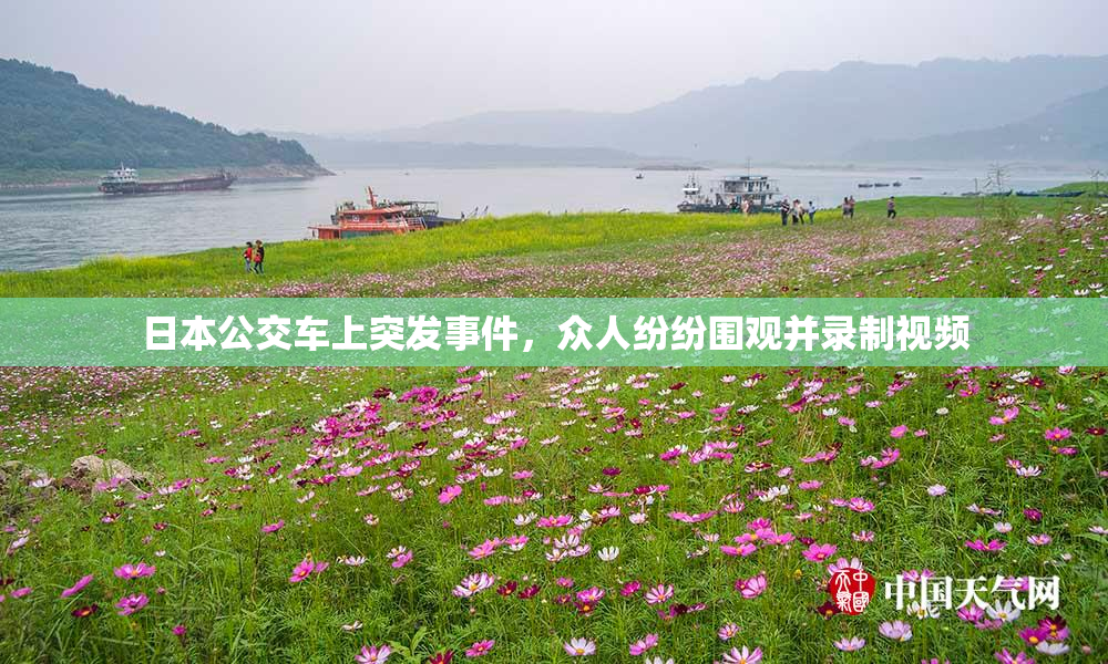 日本公交车上突发事件，众人纷纷围观并录制视频