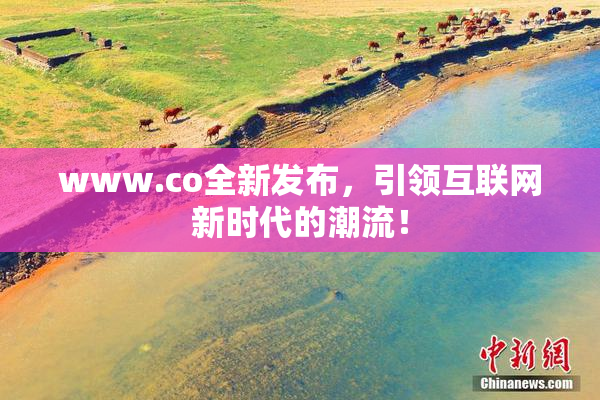 www.co全新发布，引领互联网新时代的潮流！