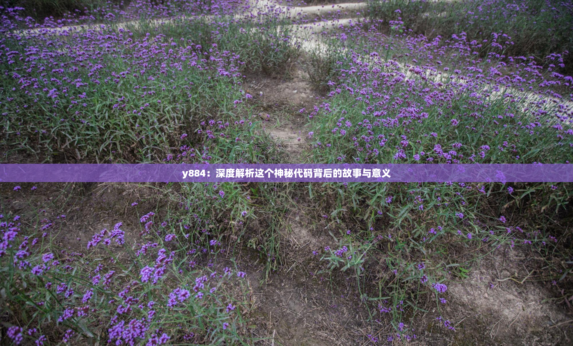 y884：深度解析这个神秘代码背后的故事与意义