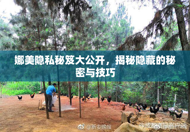 娜美隐私秘笈大公开，揭秘隐藏的秘密与技巧