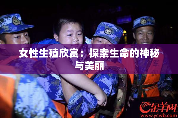 女性生殖欣赏：探索生命的神秘与美丽