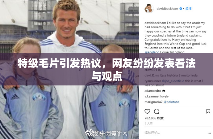 特级毛片引发热议，网友纷纷发表看法与观点