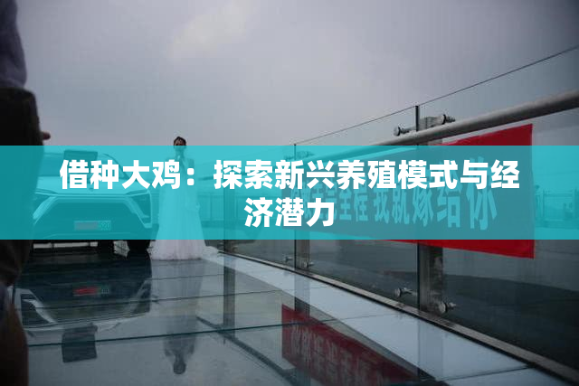借种大鸡：探索新兴养殖模式与经济潜力