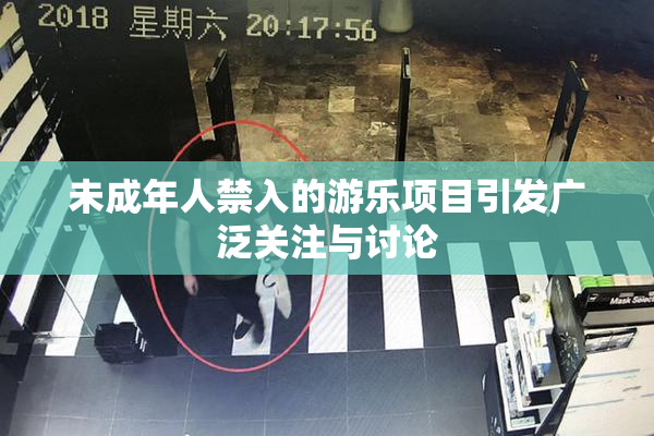 未成年人禁入的游乐项目引发广泛关注与讨论