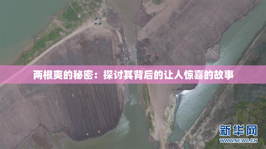 两根爽的秘密：探讨其背后的让人惊喜的故事