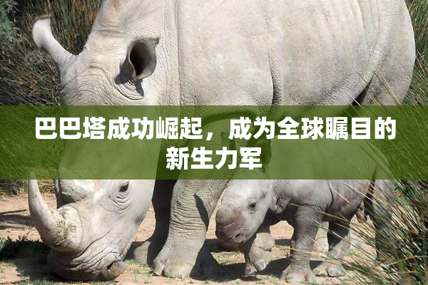 巴巴塔成功崛起，成为全球瞩目的新生力军
