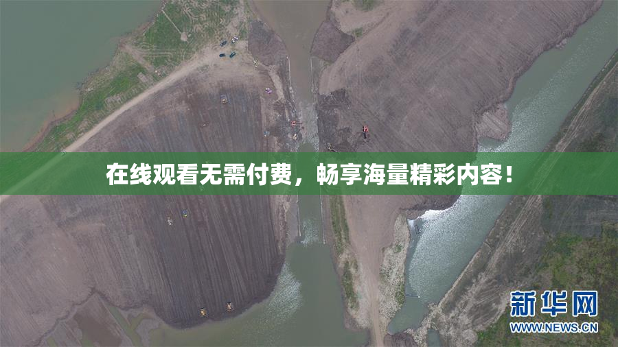 在线观看无需付费，畅享海量精彩内容！