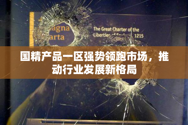 国精产品一区强势领跑市场，推动行业发展新格局