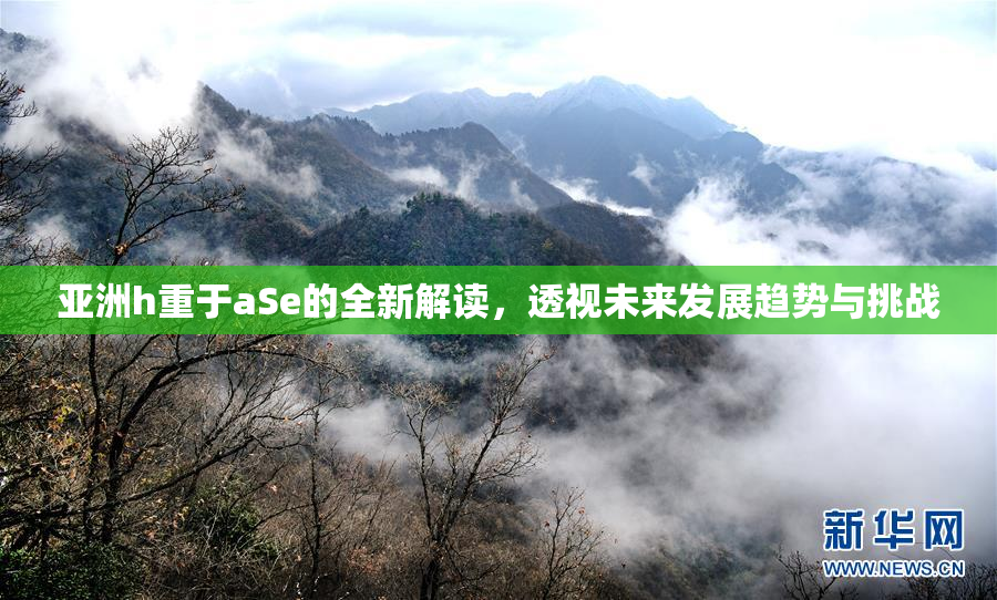 亚洲h重于aSe的全新解读，透视未来发展趋势与挑战