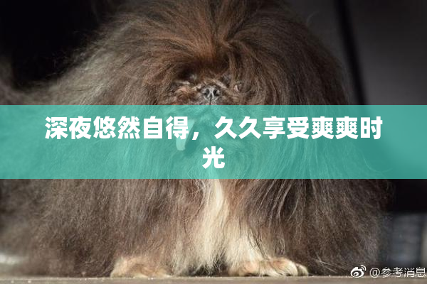 深夜悠然自得，久久享受爽爽时光