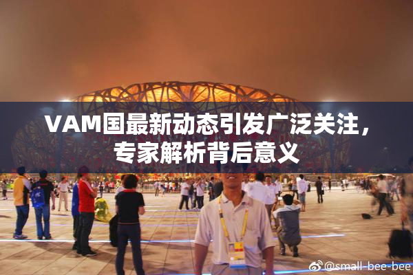 VAM国最新动态引发广泛关注，专家解析背后意义
