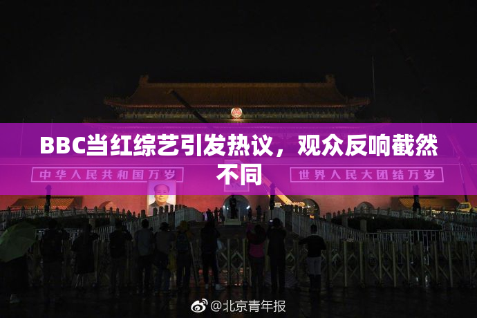 BBC当红综艺引发热议，观众反响截然不同