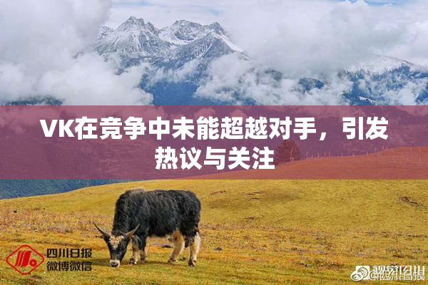 VK在竞争中未能超越对手，引发热议与关注