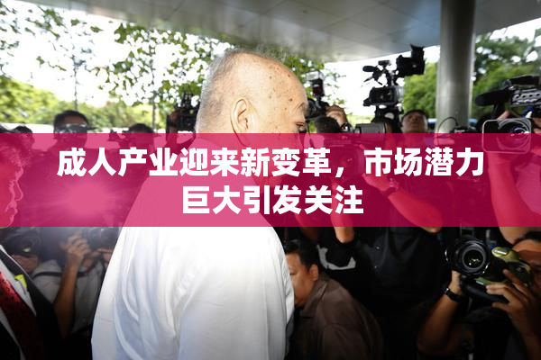 成人产业迎来新变革，市场潜力巨大引发关注
