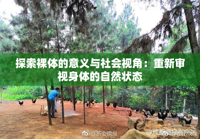 探索裸体的意义与社会视角：重新审视身体的自然状态