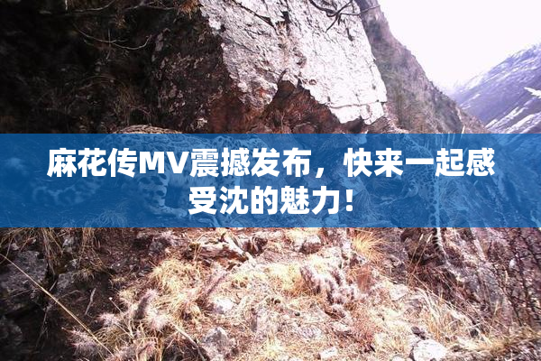 麻花传MV震撼发布，快来一起感受沈的魅力！
