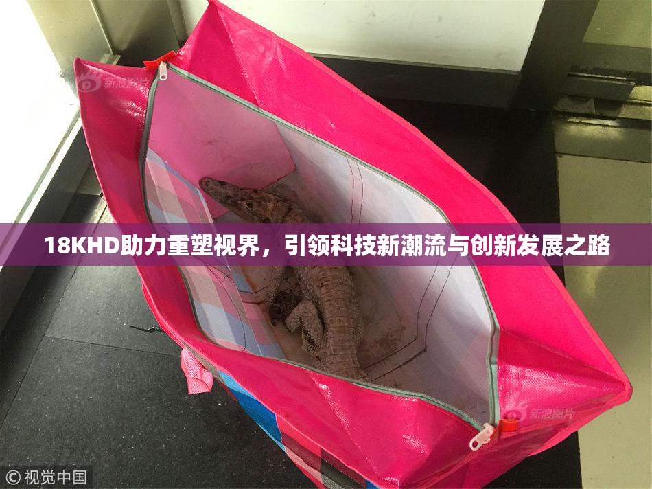18KHD助力重塑视界，引领科技新潮流与创新发展之路