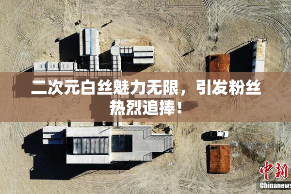 二次元白丝魅力无限，引发粉丝热烈追捧！